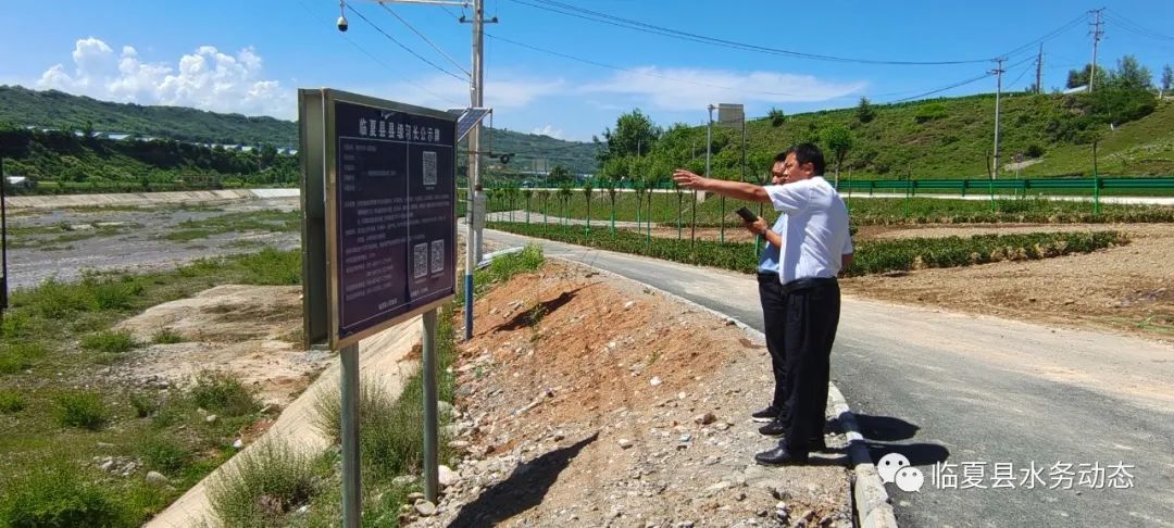 史河街道：筑牢生态防线绘就绿色画卷星空下